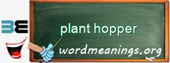 WordMeaning blackboard for plant hopper